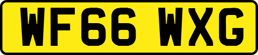 WF66WXG