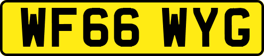 WF66WYG