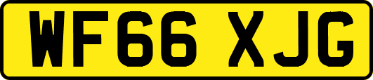 WF66XJG