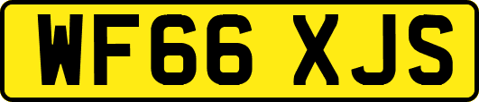 WF66XJS