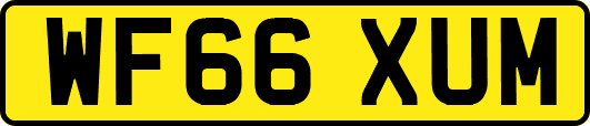 WF66XUM