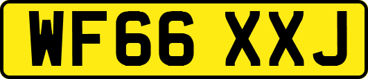 WF66XXJ