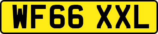 WF66XXL