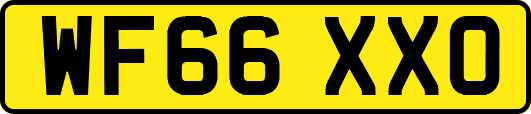 WF66XXO