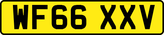 WF66XXV