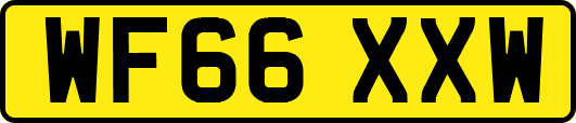WF66XXW
