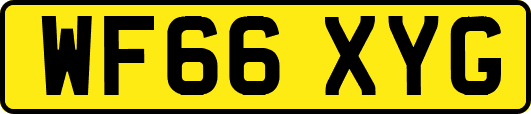 WF66XYG