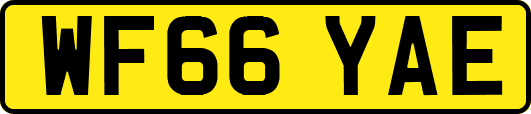 WF66YAE
