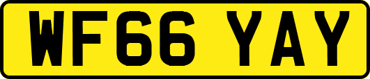 WF66YAY