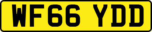 WF66YDD