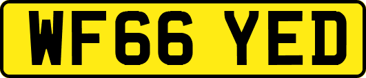 WF66YED