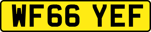 WF66YEF