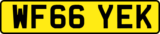 WF66YEK