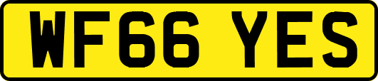 WF66YES