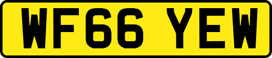 WF66YEW