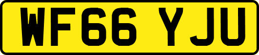 WF66YJU