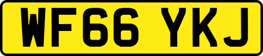 WF66YKJ