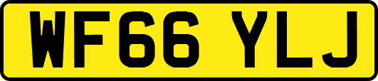 WF66YLJ