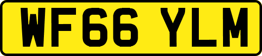 WF66YLM