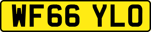 WF66YLO
