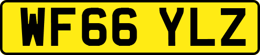 WF66YLZ