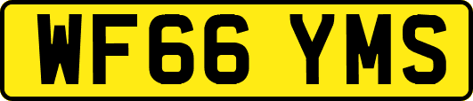 WF66YMS