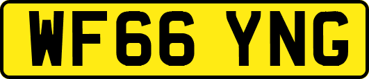 WF66YNG
