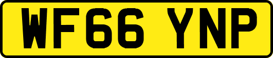 WF66YNP