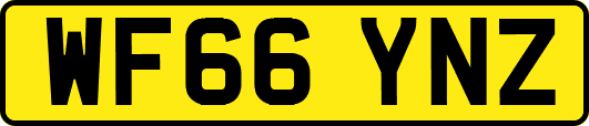 WF66YNZ