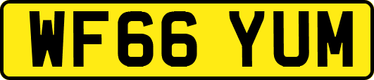 WF66YUM