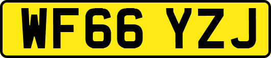 WF66YZJ