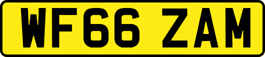 WF66ZAM