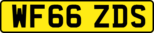 WF66ZDS