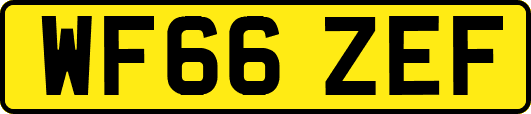 WF66ZEF