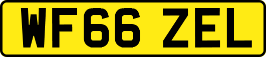 WF66ZEL