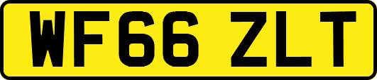 WF66ZLT