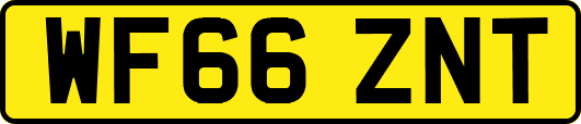 WF66ZNT