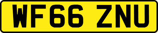 WF66ZNU