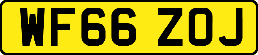 WF66ZOJ