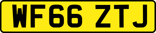 WF66ZTJ