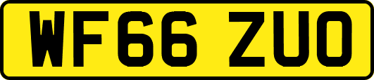 WF66ZUO