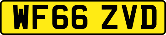 WF66ZVD