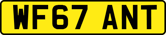 WF67ANT