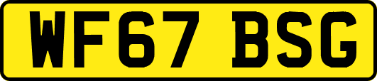 WF67BSG