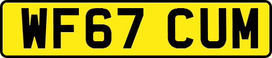 WF67CUM