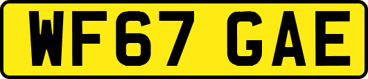 WF67GAE