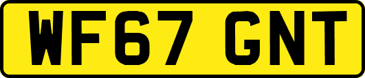 WF67GNT