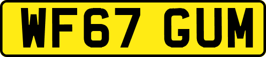 WF67GUM
