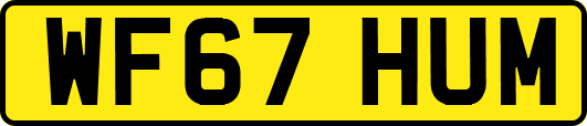 WF67HUM