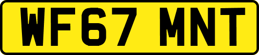 WF67MNT